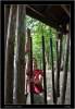 DSC_0304.jpg