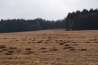 DSC_054~0.jpg
