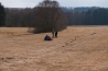 DSC_055~0.jpg