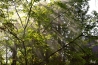 DSC_0590.JPG