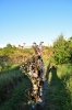DSC_1005.JPG