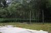 DSC_1015.JPG