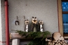 DSC_102~0.jpg