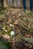 DSC_105~0.jpg