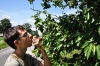 DSC_1052.JPG