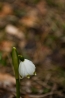 DSC_106~0.jpg
