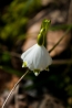 DSC_107~0.jpg