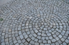 DSC_1070.JPG