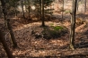 DSC_119~0.jpg