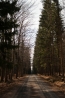 DSC_120~0.jpg
