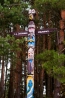DSC_1232.jpg