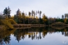 DSC_1271.jpg