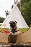 DSC_157~1.jpg
