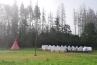 DSC_179~1.jpg