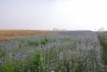 DSC_184~1.jpg