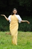 DSC_2008.jpg
