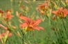 DSC_2014.JPG