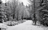 DSC_2049.jpg
