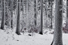 DSC_2061.jpg
