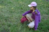 DSC_2178.JPG