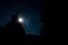 DSC_247.jpg