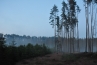 DSC_256~1.jpg