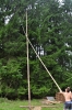 DSC_2609.jpg