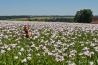 DSC_3455~0.jpg