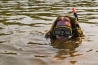 DSC_3518~0.jpg