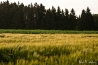 DSC_3547.jpg
