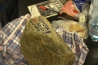 DSC_4587_NEF.jpg