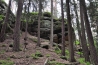 DSC_4814.JPG