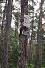 DSC_4887.JPG