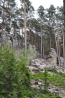 DSC_4907.JPG