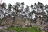 DSC_4911.JPG