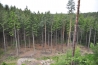 DSC_4941.JPG