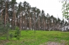 DSC_5017.JPG