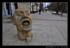 DSC_6441.jpg