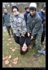 DSC_6485.jpg