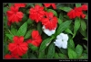 DSC_6512.jpg