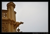 DSC_6535.jpg