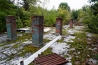 DSC_7271.jpg