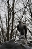 Název souboru=DSC_7429.JPG
Velikost souboru=382KB
Rozměry=680x1024
Datum přidání=16. Březen 2011 DSC_7429.JPG
