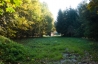 Název souboru=DSC_7494.jpg
Velikost souboru=112KB
Rozměry=350x232
Datum přidání=07. Listopad 2018 DSC_7494.jpg