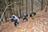 DSC_7706.JPG