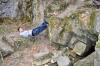 DSC_7717.JPG