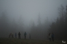 DSC_7783.jpg