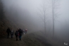 DSC_7787.jpg