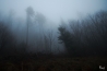 DSC_7788.jpg