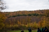 DSC_7990.jpg